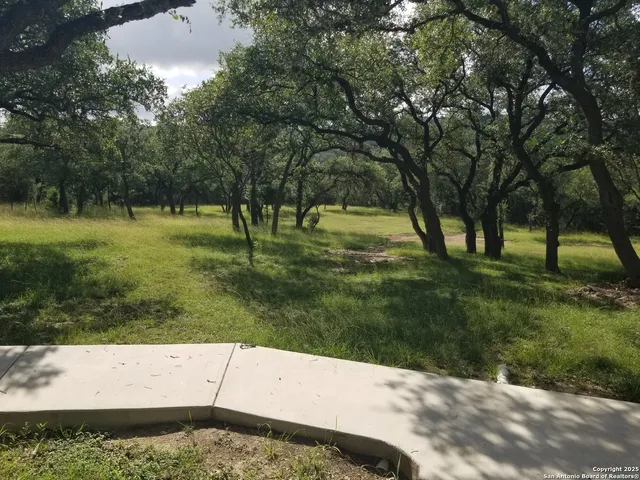 a view of backyard with small cabin