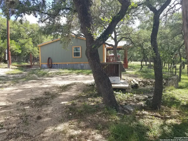 a view of a yard with plants and trees