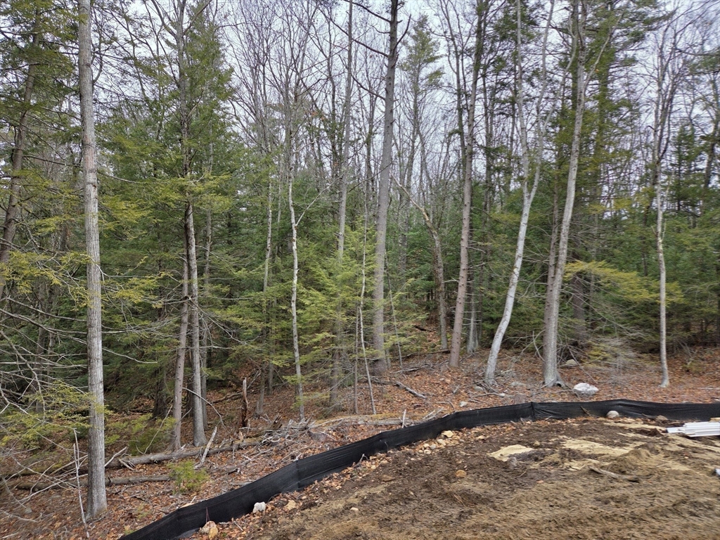 371 Hitchcock Road Winchendon, MA 01475 - Photo 17 of 24