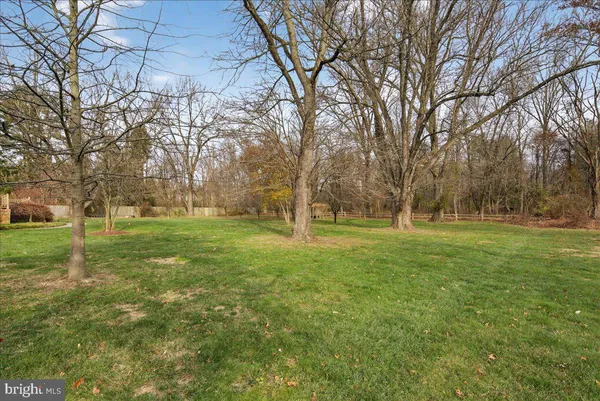 a view of a park with large trees