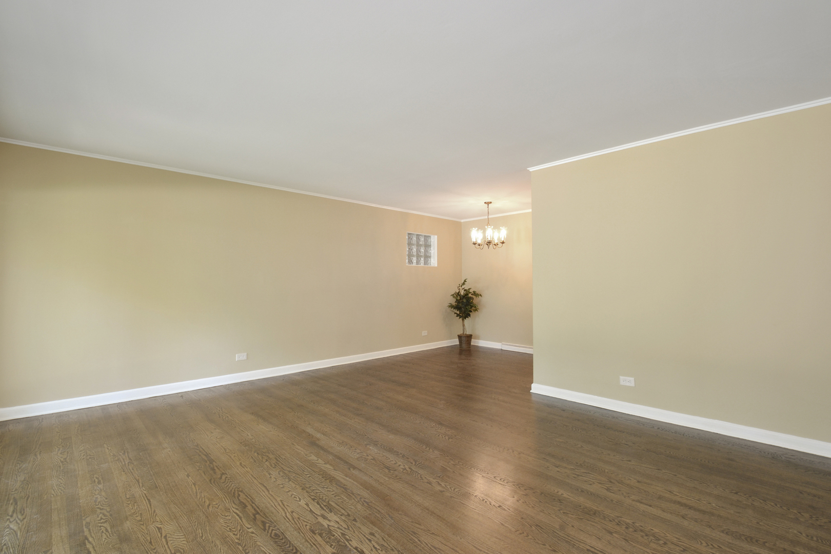 1028 Dell Road Northbrook, IL 60062 - Photo 3 of 19