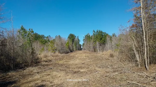 $155,715 | 0 Chambers Road, Zavalla, TX 75980