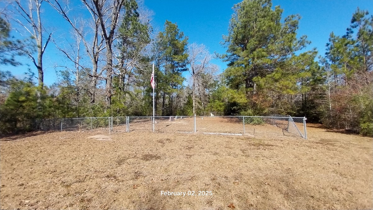 0 Chambers Road Zavalla, TX 75980 - Photo 5 of 11 a house with trees in the background