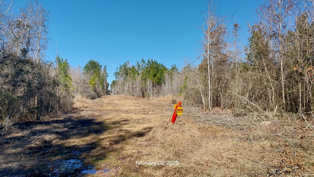 0 Chambers Road Zavalla, TX 75980 - Photo 10 of 11 a view of a space with a swimming pool