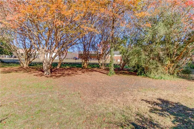 a view of a yard with a tree