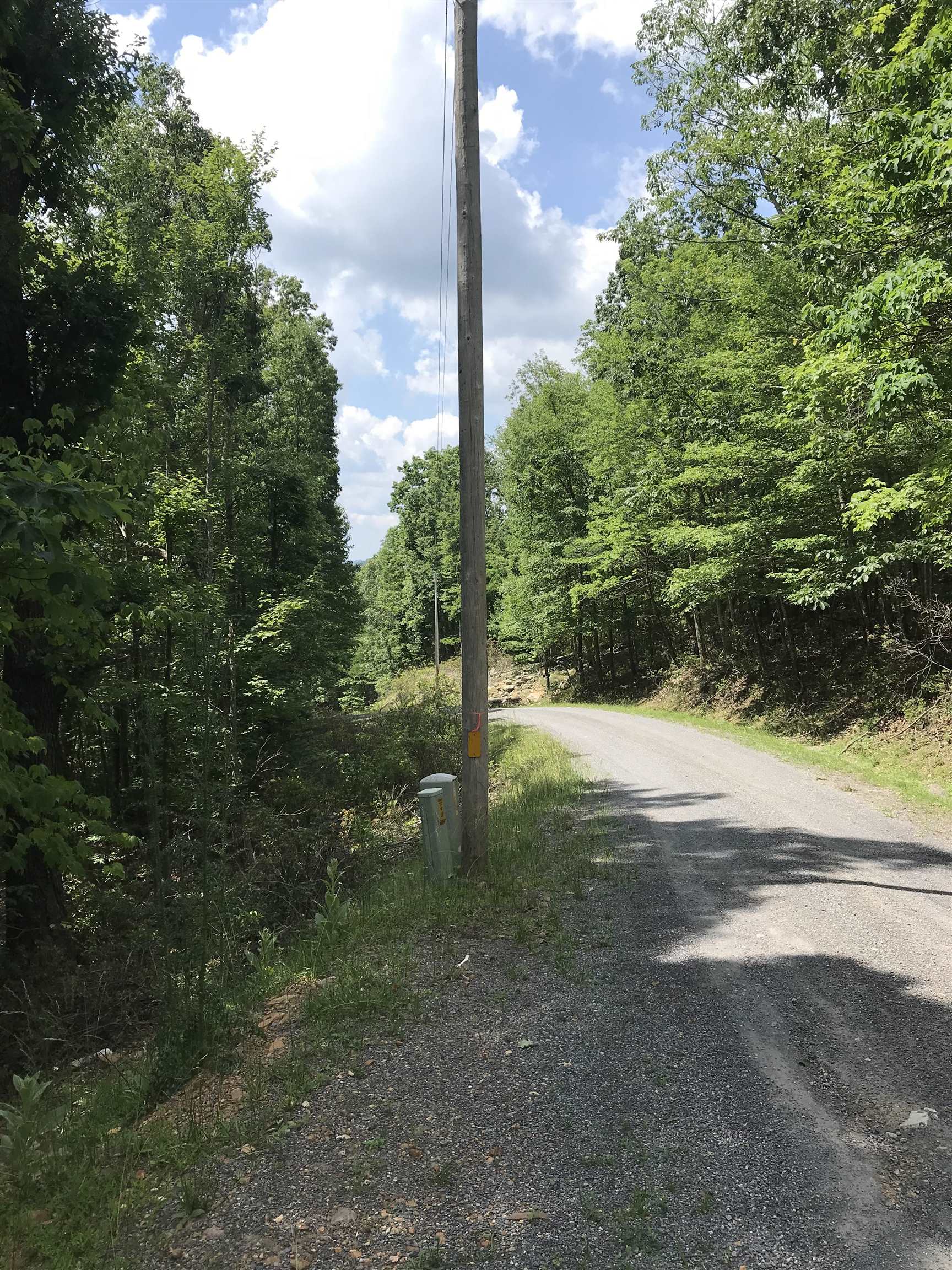 High Valley North Monterey, VA 24465 - Photo 2 of 3 a view of road with tree