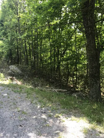 $25,000 | High Valley North, Monterey, VA 24465