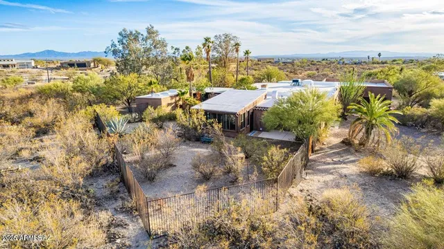 a view of a tree with painted walls