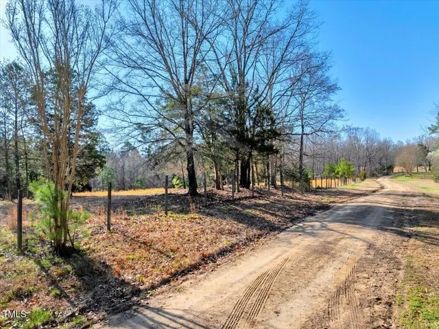 a view of a park with trees