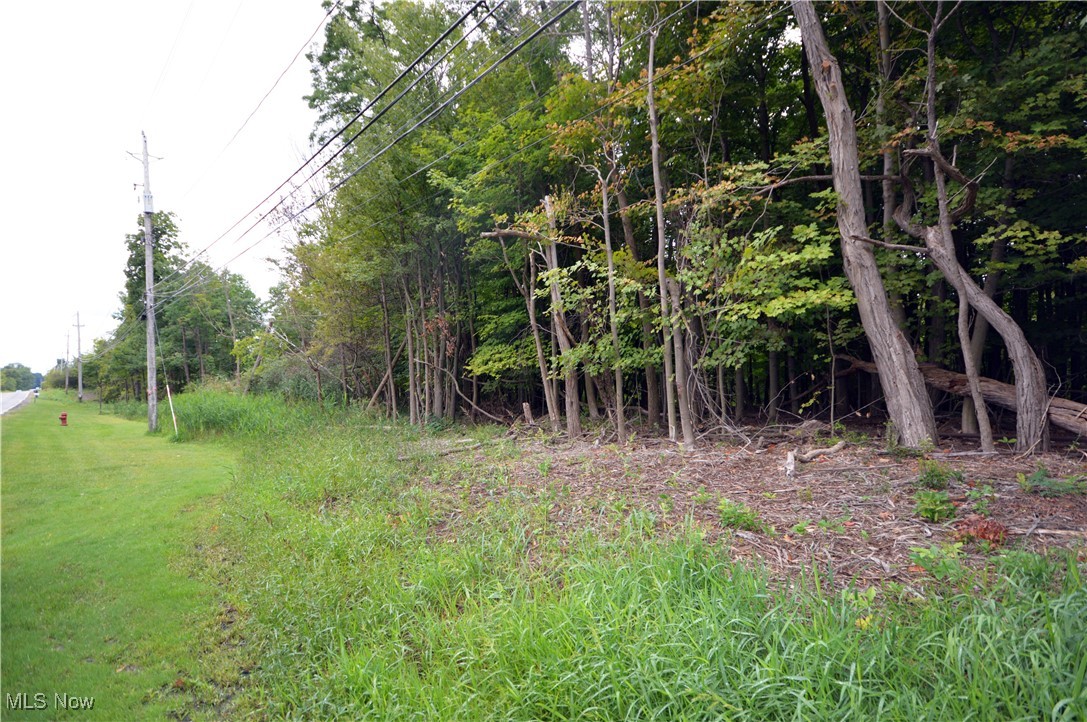Vl Wood Road Madison, OH 44057 - Photo 5 of 8 Street view