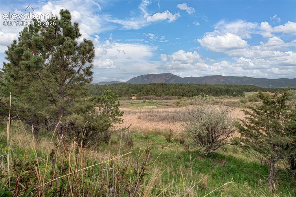 367 Raspberry Lane Monument, CO 80132 - Photo 25 of 25