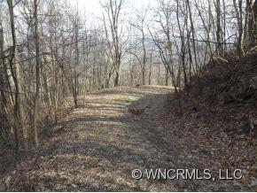 0 Dorchester Road Waynesville, NC 28785 - Photo 2 of 8 Gallery Image 2