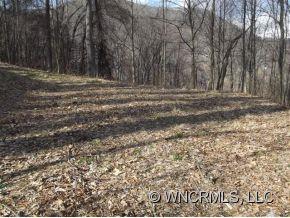 0 Dorchester Road Waynesville, NC 28785 - Photo 4 of 8 Gallery Image 4