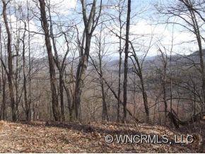 0 Dorchester Road Waynesville, NC 28785 - Photo 5 of 8 Gallery Image 5