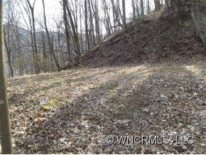 0 Dorchester Road Waynesville, NC 28785 - Photo 7 of 8 Gallery Image 7