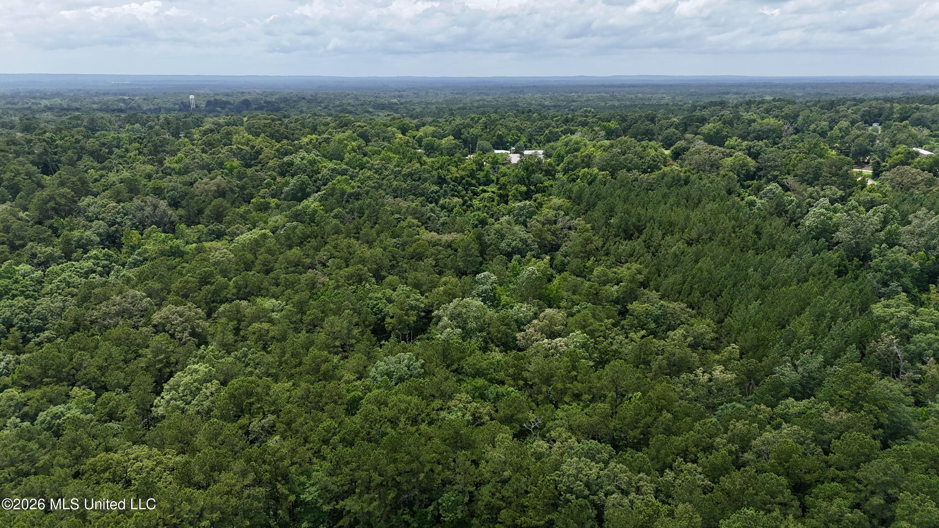 204 Mississippi 35 Raleigh, MS 39153 - Photo 31 of 32 dji_fly_20260617_134128_0303_17818737186