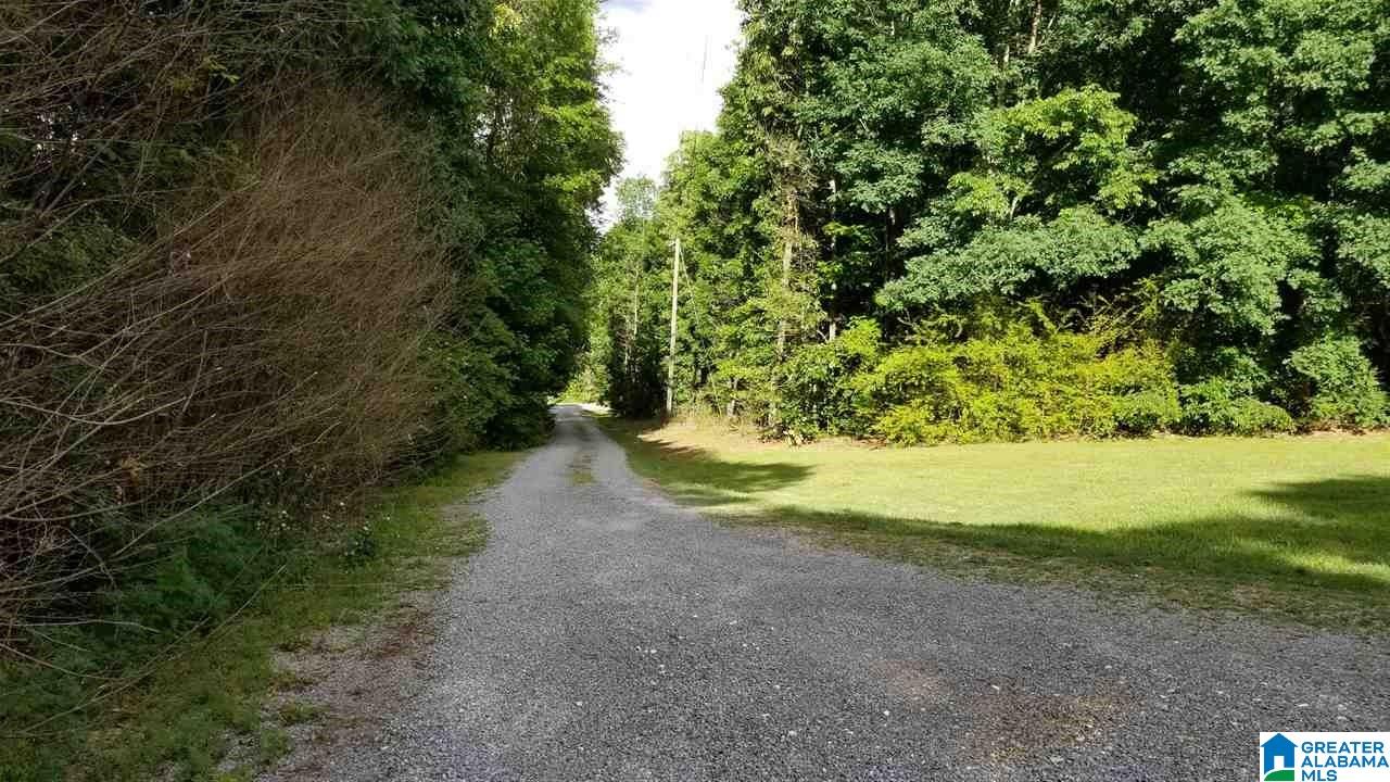 111 Old Baker Gap Road Boaz, AL 35956 - Photo 37 of 38