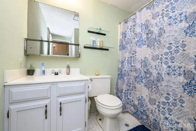 a bathroom with a sink a toilet and a mirror