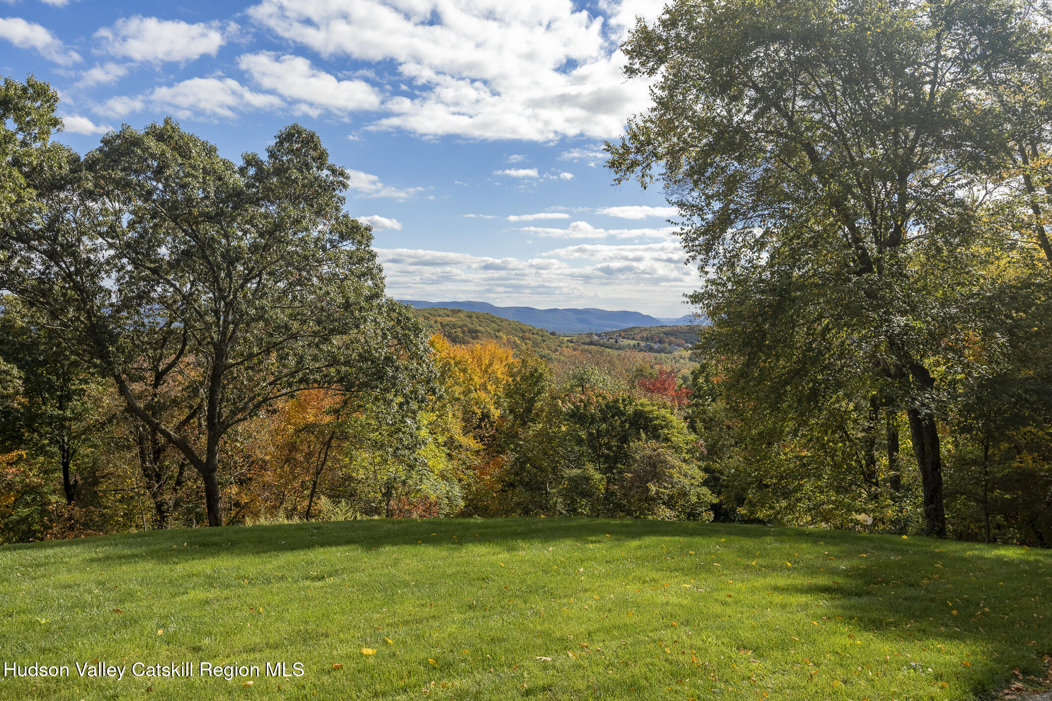 46 Idlewild Road Marlboro, NY 12542 - Photo 27 of 31 a view of a trees with a yard