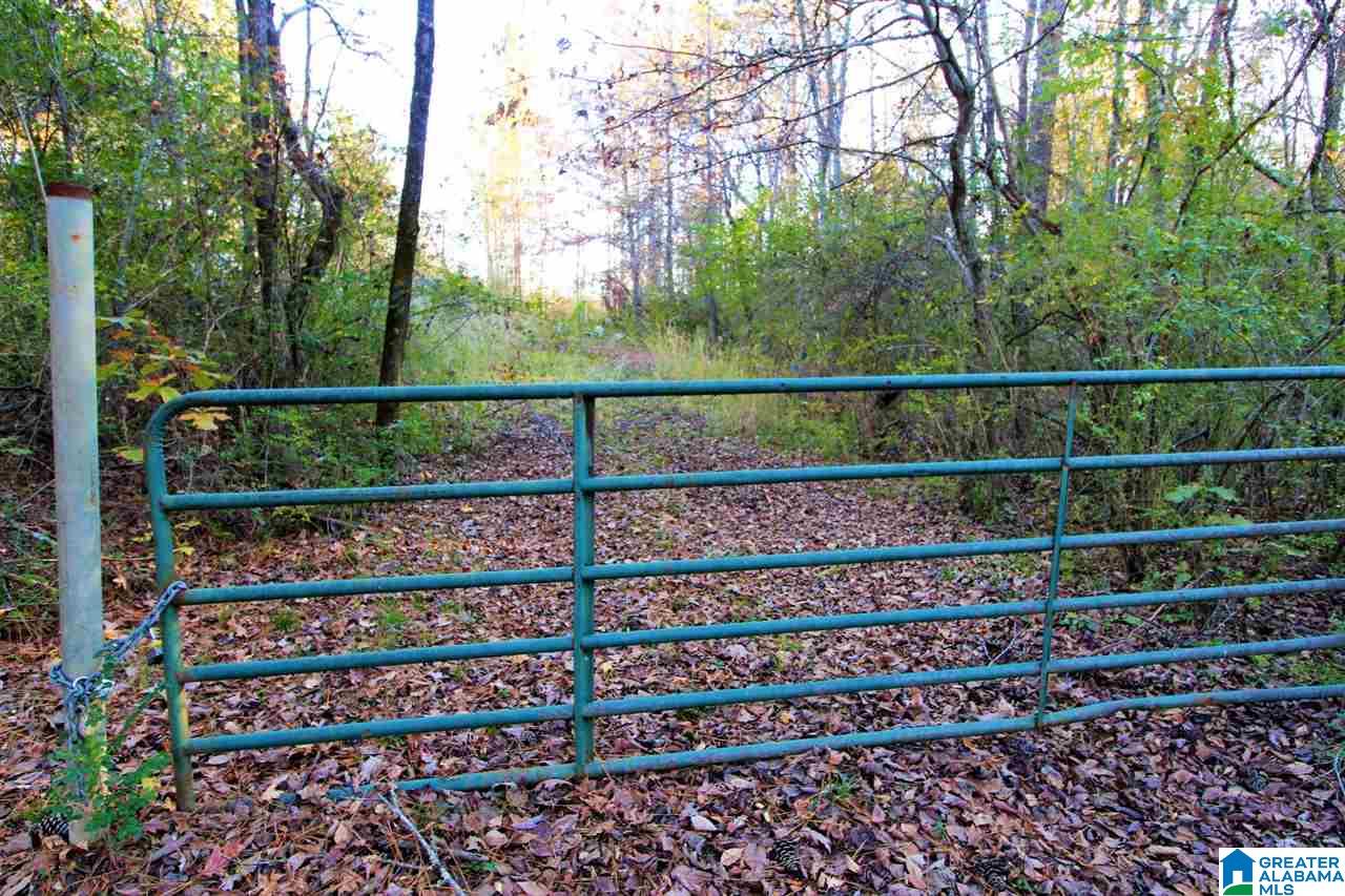 584 Greensport Road Ohatchee, AL 36271 - Photo 8 of 9