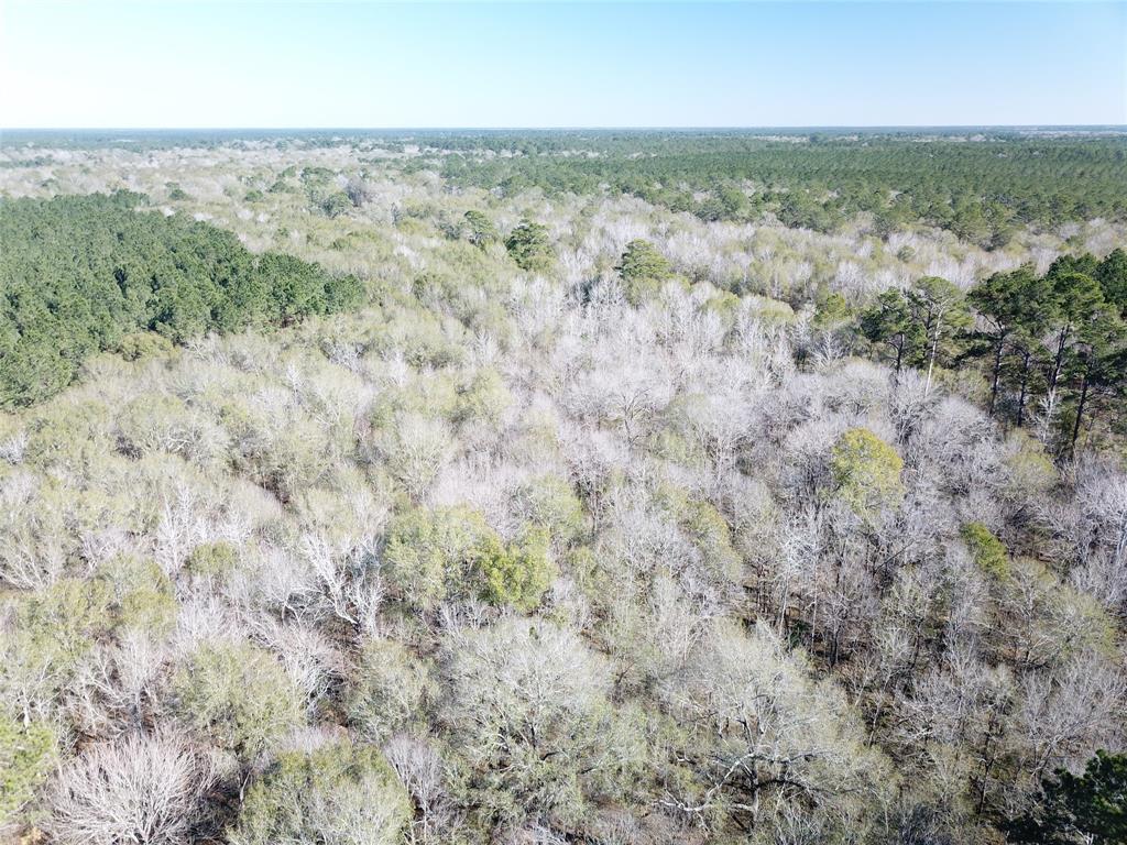 0 Corrigan Road Vidor, TX 77662 - Photo 11 of 32 an aerial view of house with yard and mountain view in back