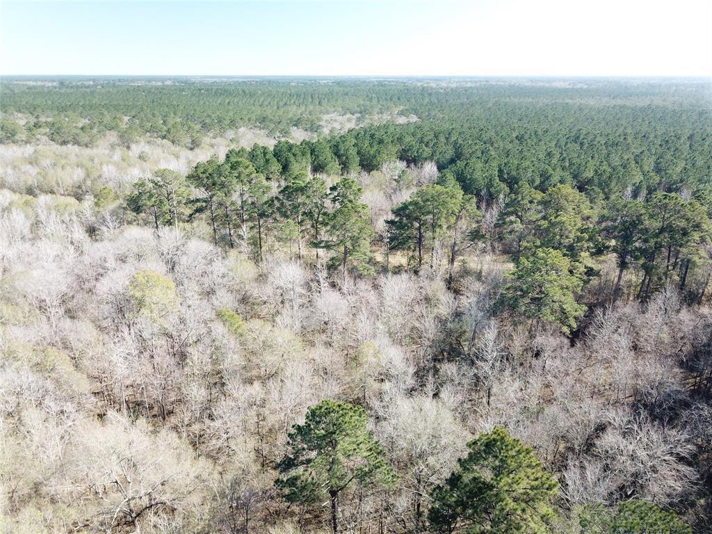 0 Corrigan Road Vidor, TX 77662 - Photo 12 of 32 an aerial view of residential house with space and trees all around