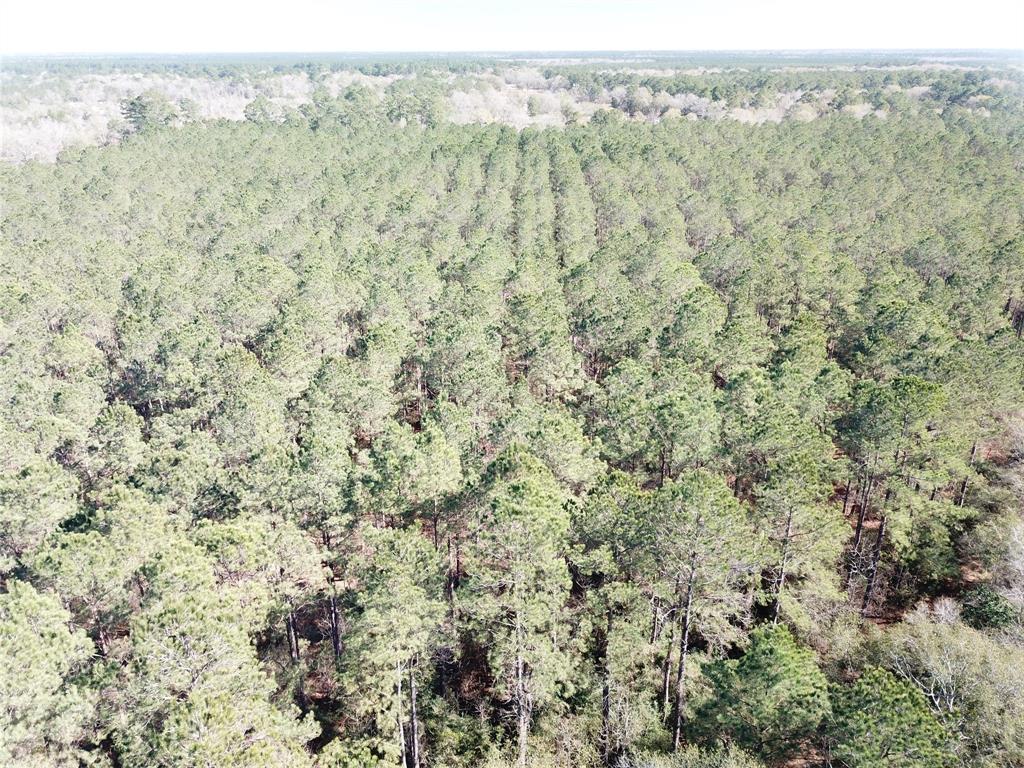 0 Corrigan Road Vidor, TX 77662 - Photo 15 of 32 a view of a field with trees in the background