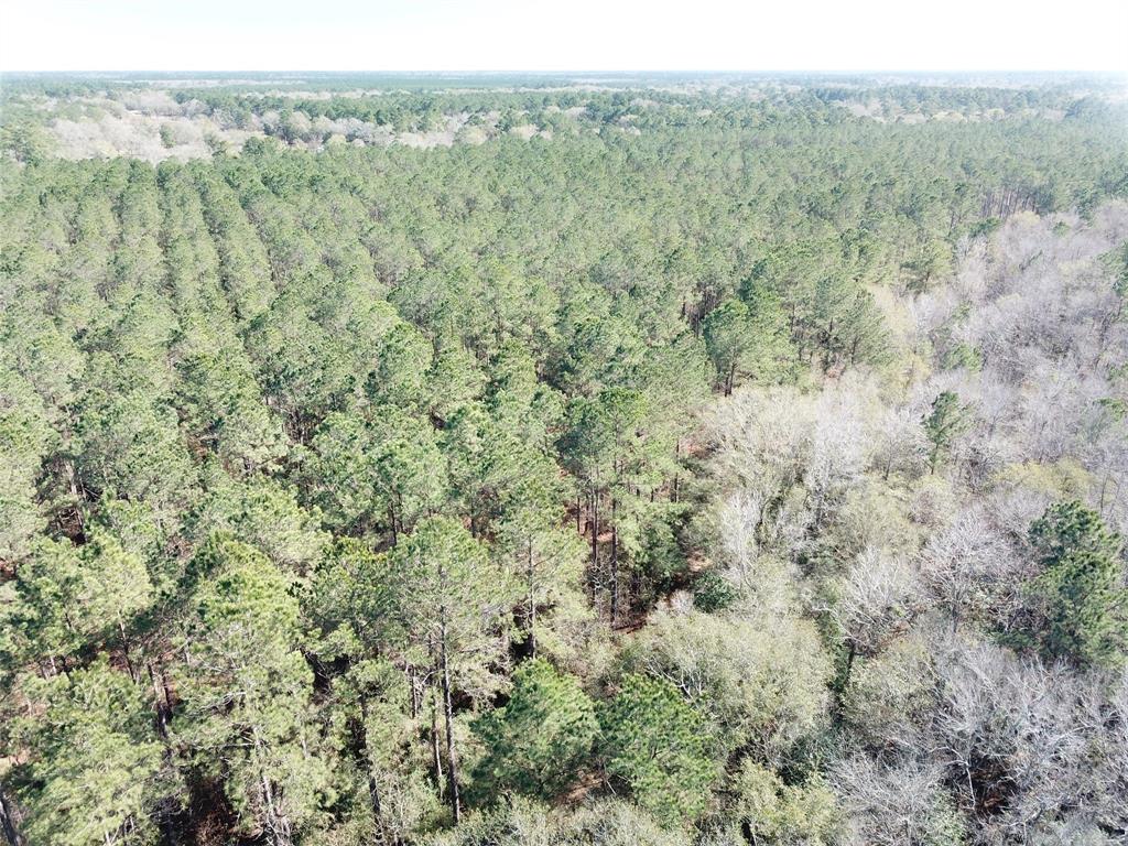 0 Corrigan Road Vidor, TX 77662 - Photo 16 of 32 a view of a field with trees in the background