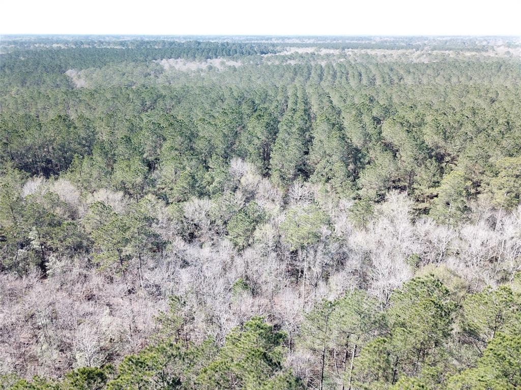 0 Corrigan Road Vidor, TX 77662 - Photo 17 of 32 a view of a forest with trees in the background