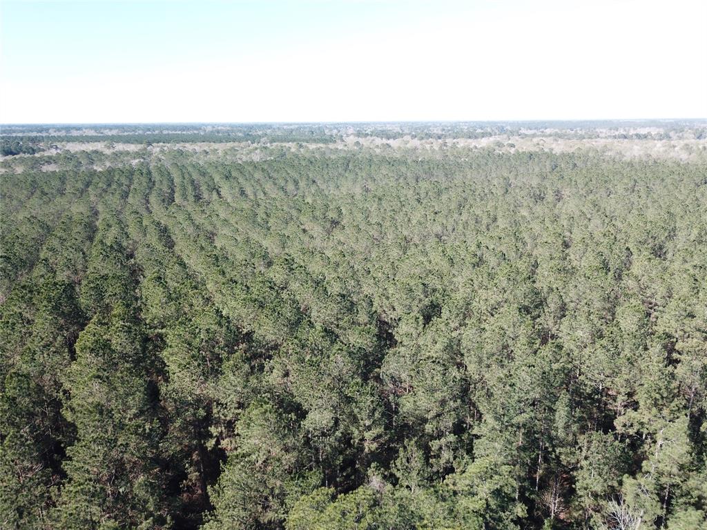 0 Corrigan Road Vidor, TX 77662 - Photo 18 of 32 a view of a field with trees in the background