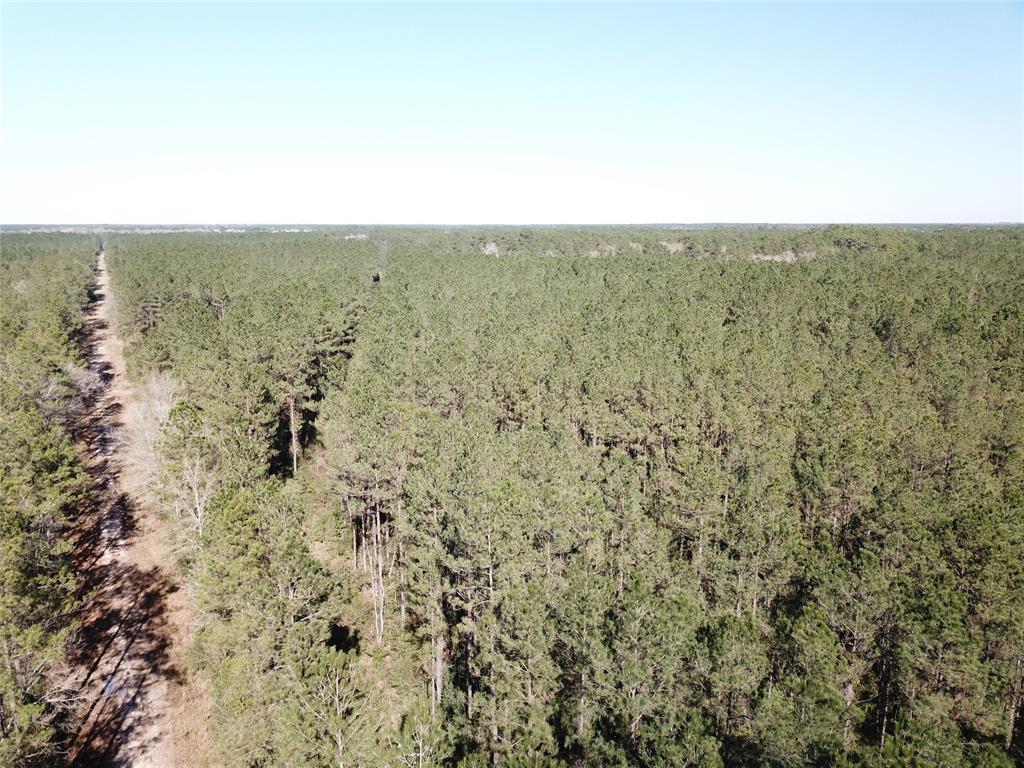 0 Corrigan Road Vidor, TX 77662 - Photo 19 of 32 an aerial view of beach with large trees