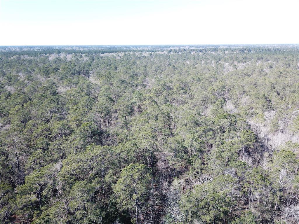0 Corrigan Road Vidor, TX 77662 - Photo 20 of 32 a view of a dry yard