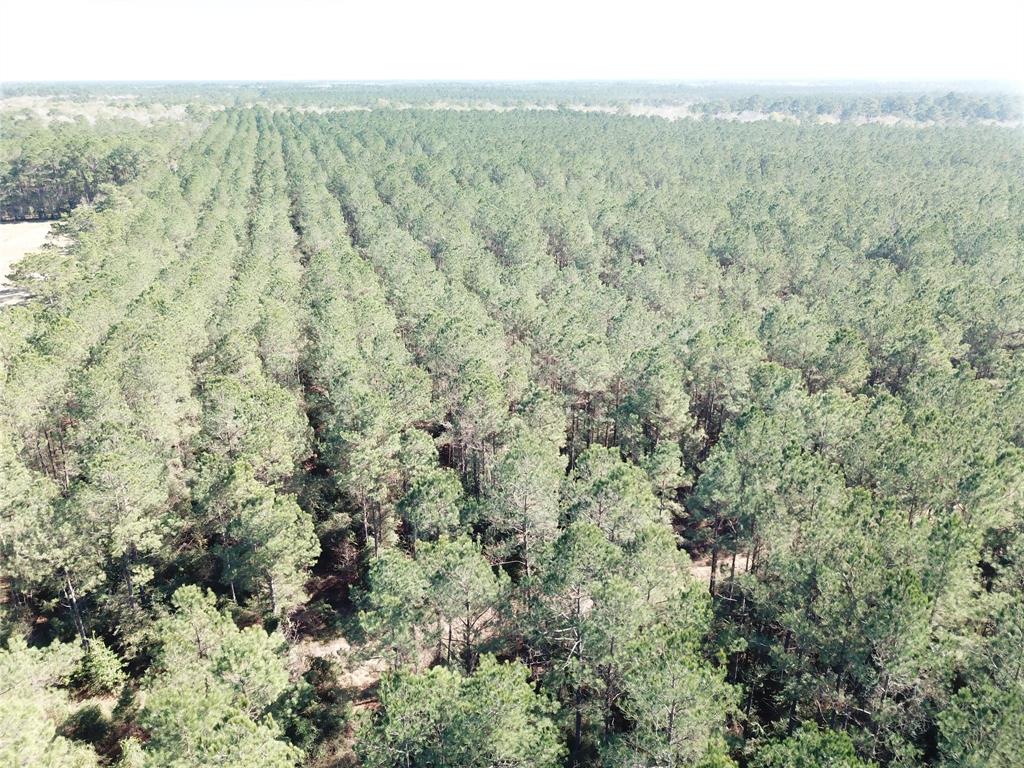 0 Corrigan Road Vidor, TX 77662 - Photo 2 of 32 a view of a forest with a forest