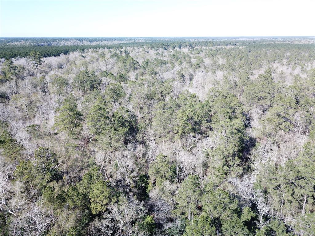 0 Corrigan Road Vidor, TX 77662 - Photo 21 of 32 an aerial view of forest with trees