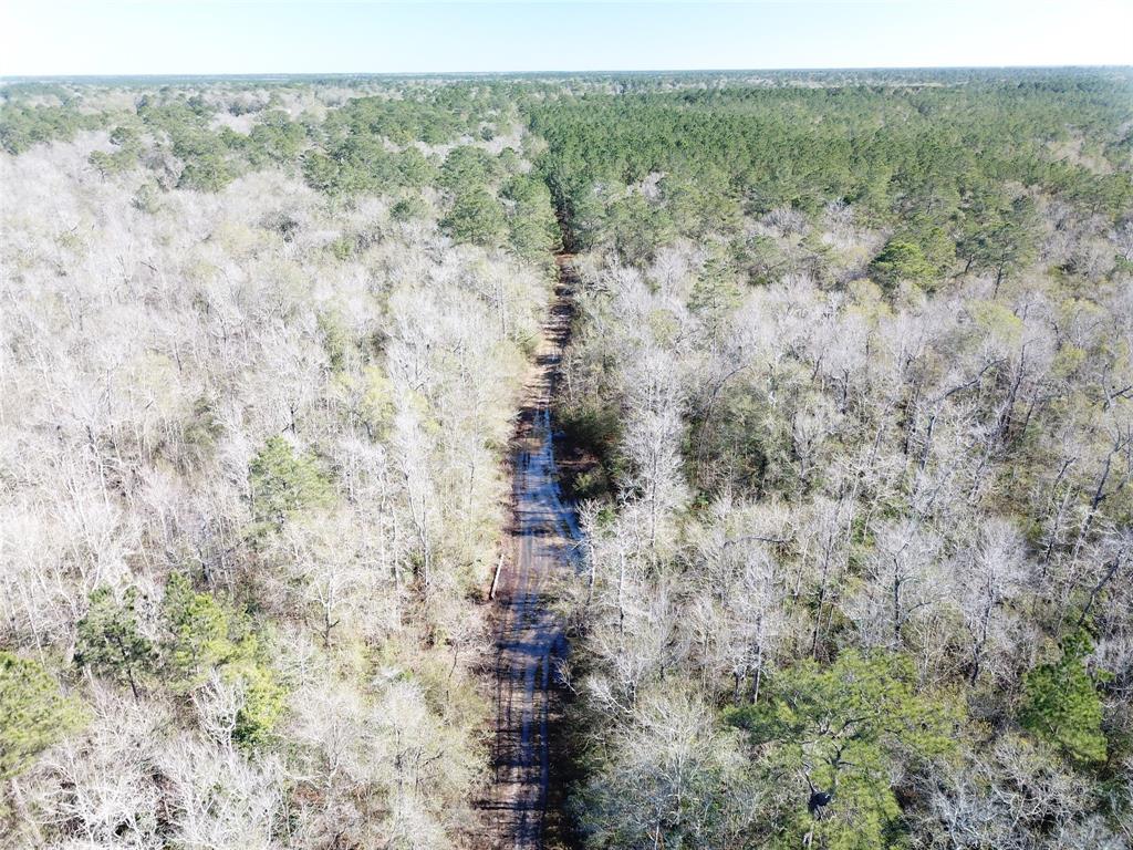 0 Corrigan Road Vidor, TX 77662 - Photo 23 of 32 a view of a yard with trees
