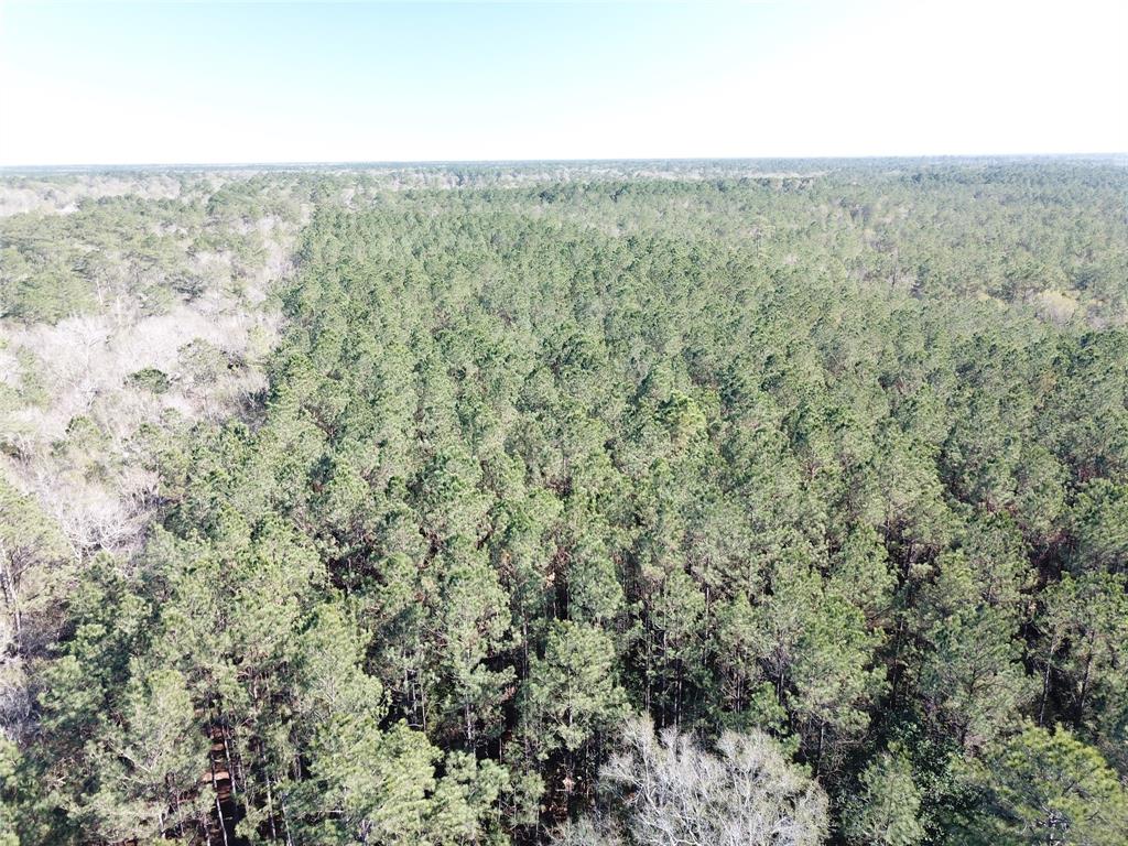 0 Corrigan Road Vidor, TX 77662 - Photo 24 of 32