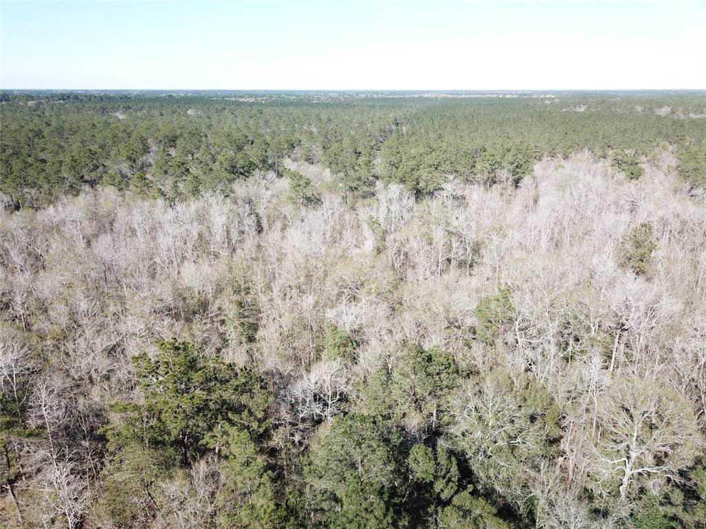 0 Corrigan Road Vidor, TX 77662 - Photo 25 of 32 a view of an outdoor space and a yard