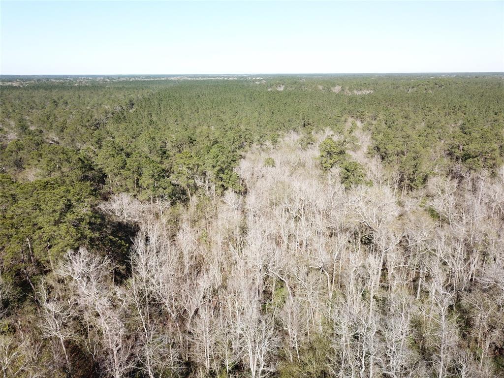 0 Corrigan Road Vidor, TX 77662 - Photo 26 of 32 a view of a field with an ocean view