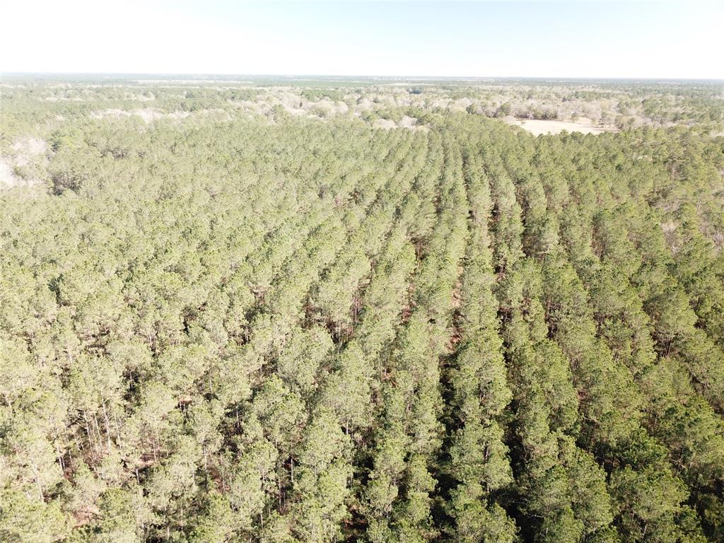 0 Corrigan Road Vidor, TX 77662 - Photo 30 of 32 a view of city and ocean