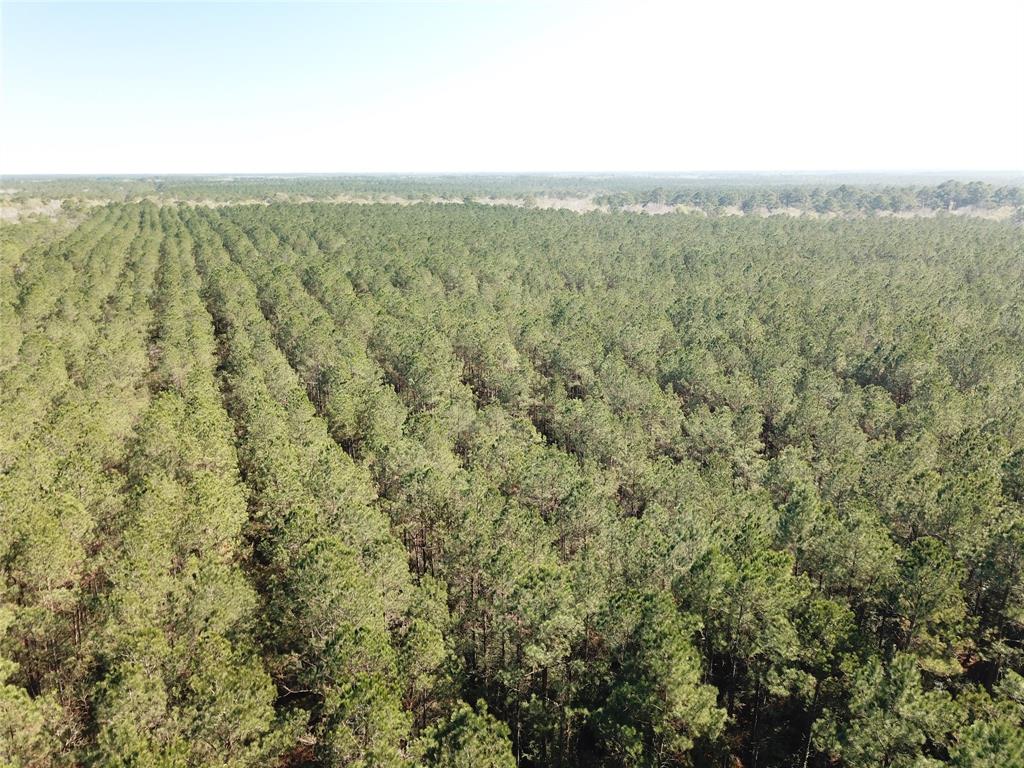 0 Corrigan Road Vidor, TX 77662 - Photo 3 of 32 a view of a green field with mountains in the background