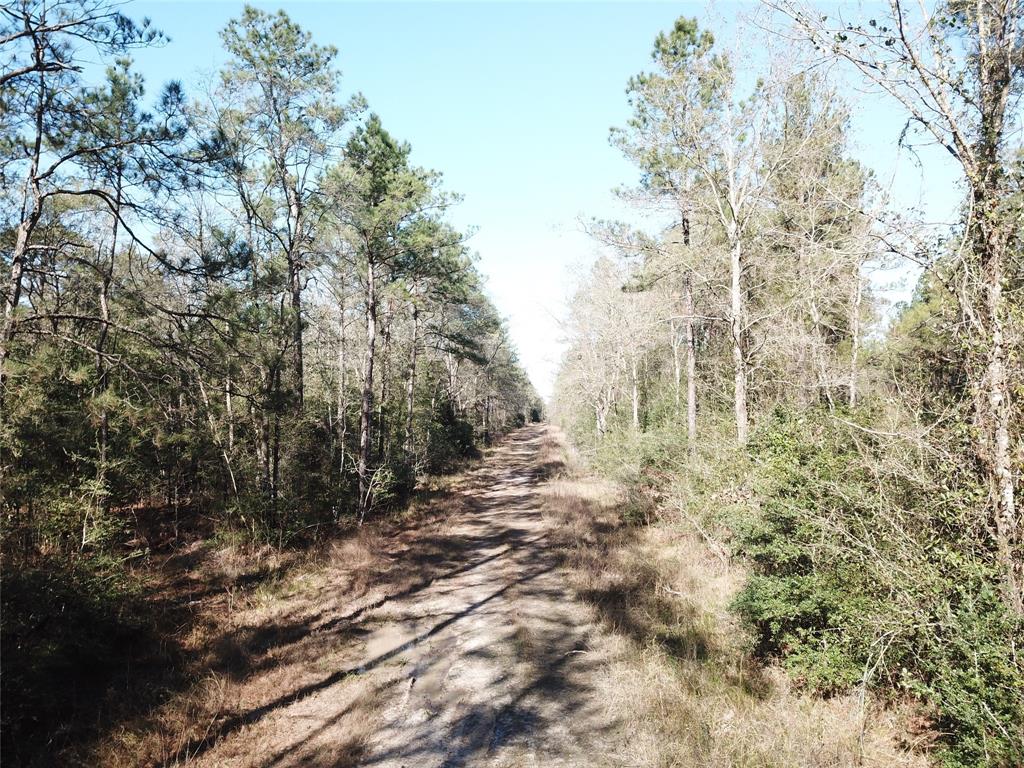 0 Corrigan Road Vidor, TX 77662 - Photo 31 of 32 a view of outdoor space and trees