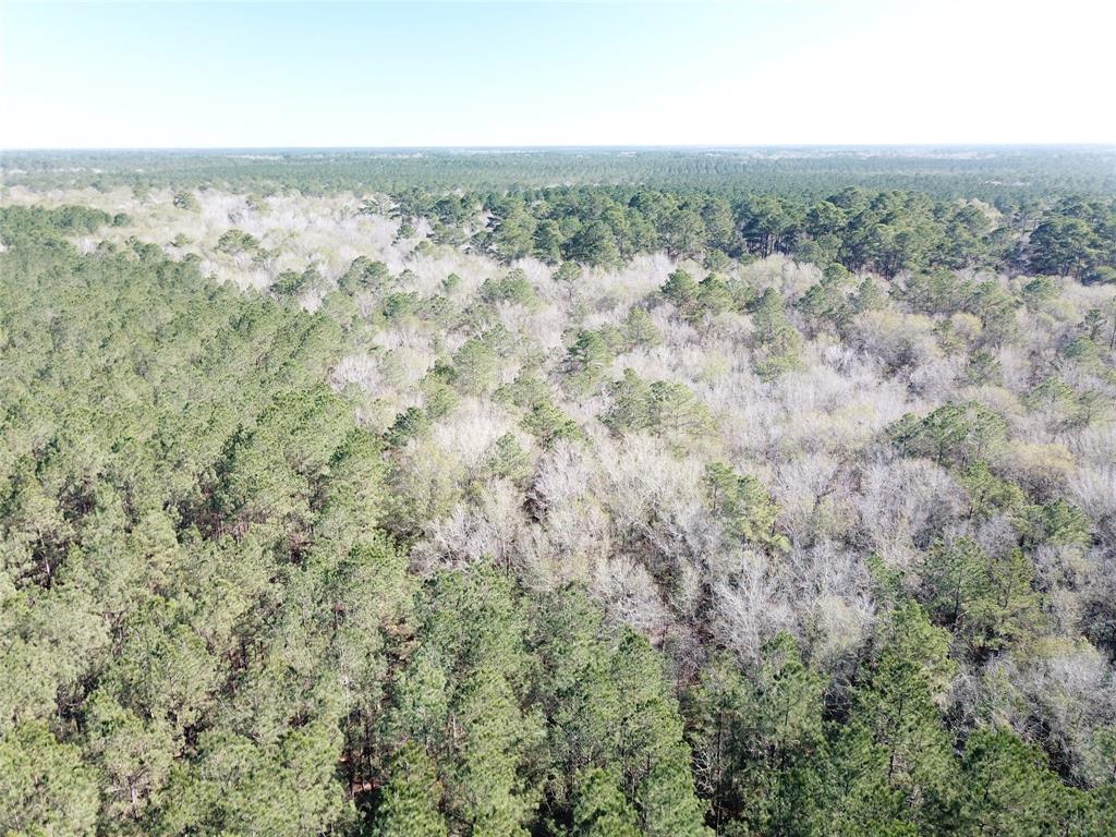 0 Corrigan Road Vidor, TX 77662 - Photo 6 of 32 an aerial view of forest with trees