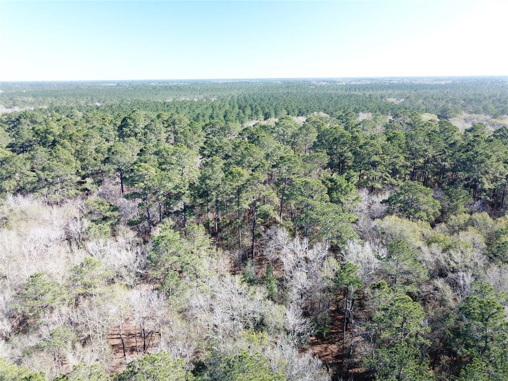 0 Corrigan Road Vidor, TX 77662 - Photo 8 of 32 an aerial view of forest