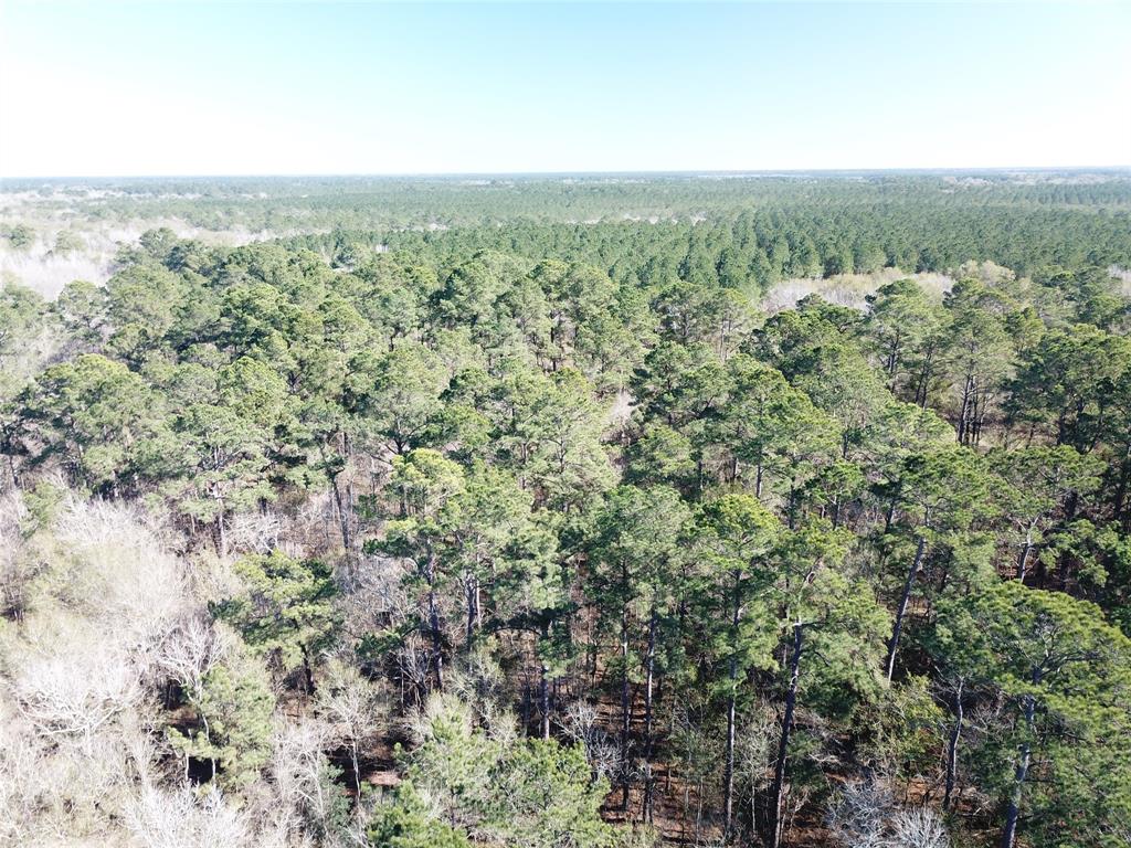 0 Corrigan Road Vidor, TX 77662 - Photo 10 of 32 an aerial view of residential houses with outdoor space and trees
