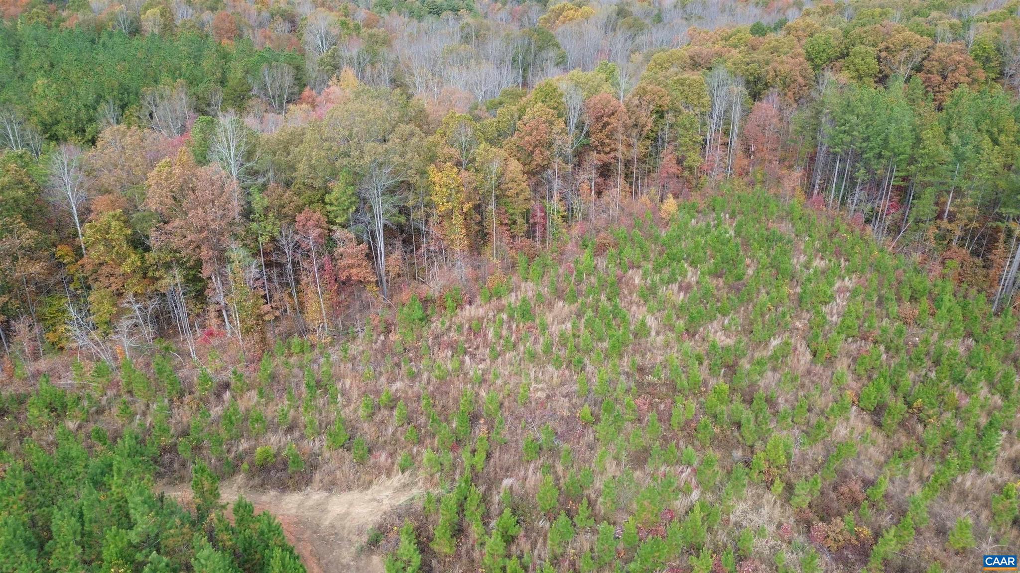 Tba Ridge Road, Unit 1 Arvonia, VA 23004 - Photo 37 of 50