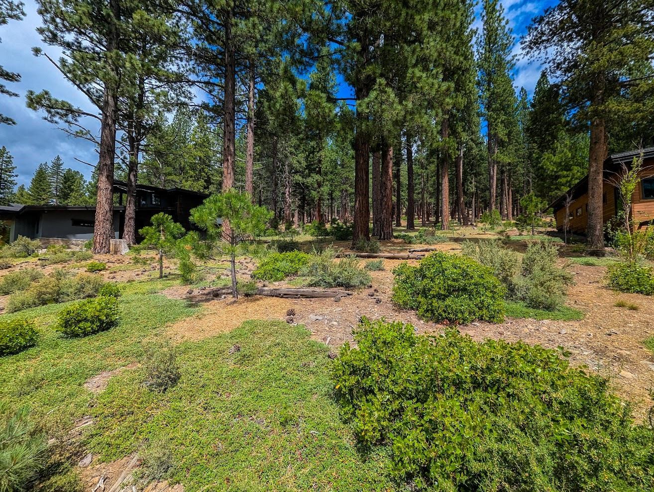 11360 Ghirard Road Truckee, CA 96161 - Photo 2 of 8