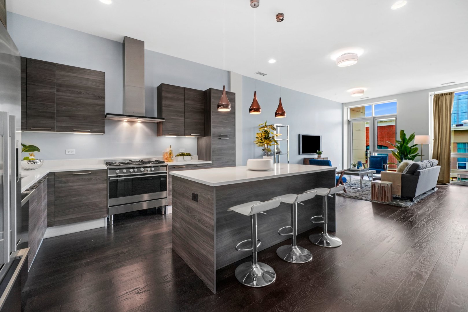 1128 West Adams Street, Unit 4E Chicago, IL 60607 - Photo 4 of 31