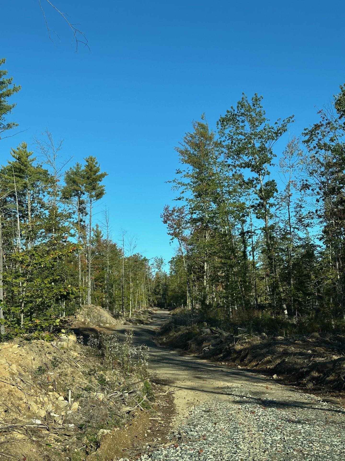 0 Pinkham Road, Unit 117 Middleton, NH 03887 - Photo 2 of 4 Gallery Image 2