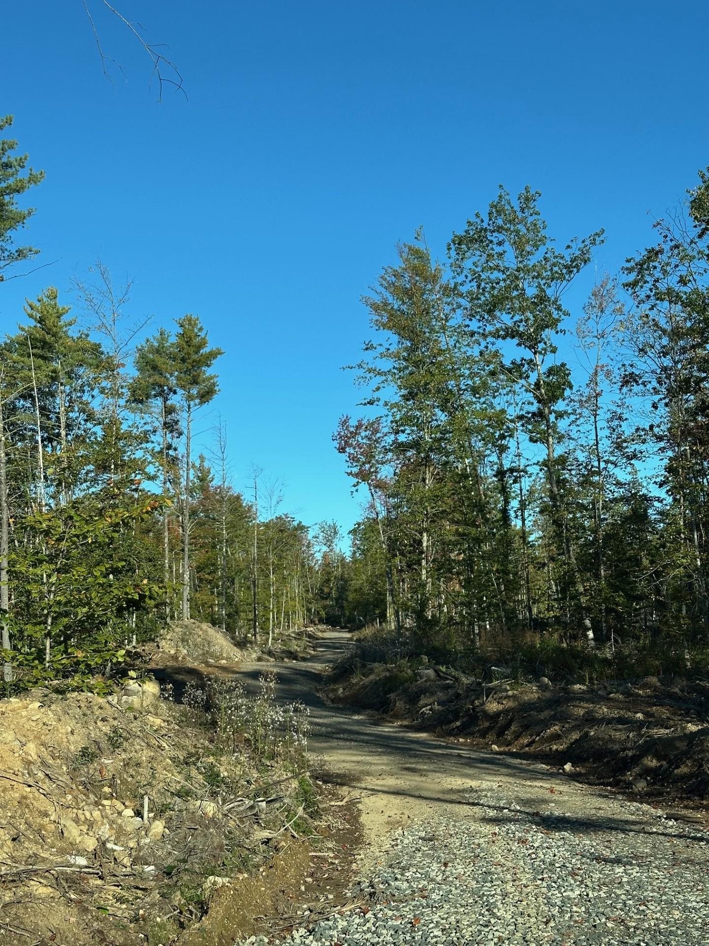 0 Pinkham Road, Unit 117 Middleton, NH 03887 - Photo 3 of 4 Gallery Image 3