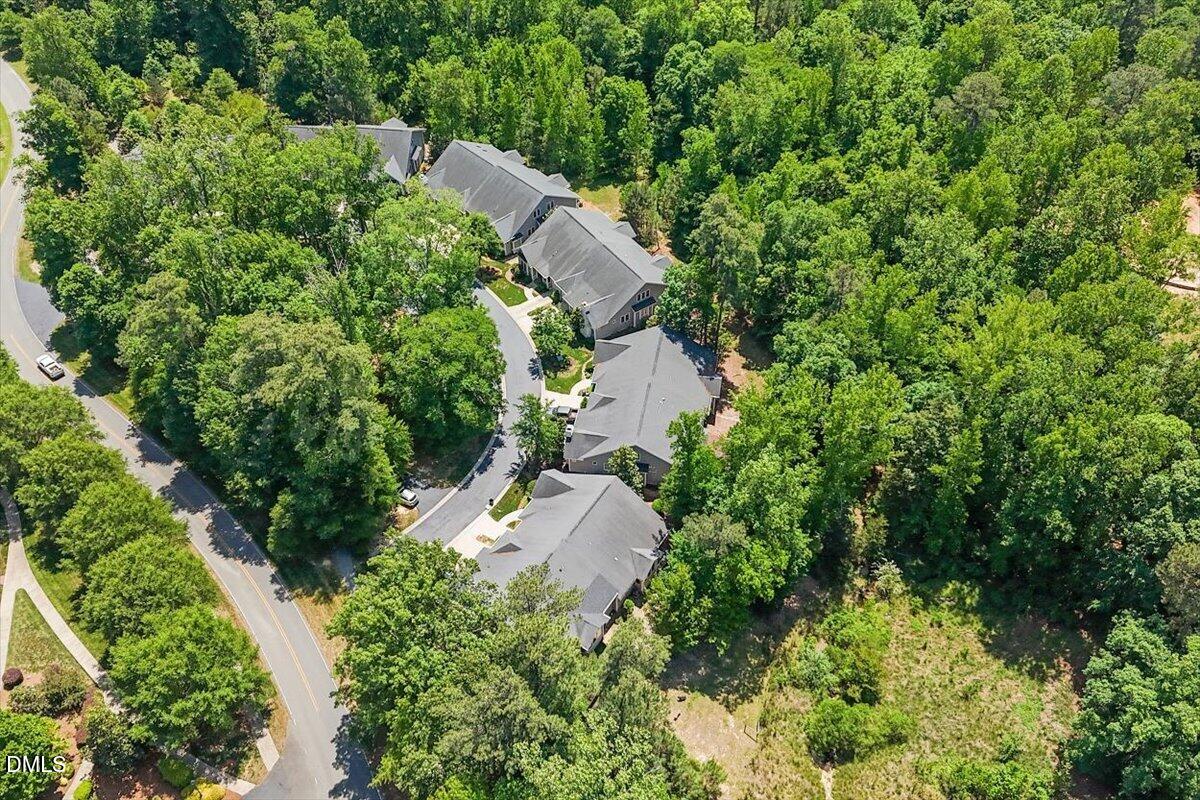 5508 Rutherford Cl Pittsboro, NC 27312 - Photo 37 of 56 Drone view